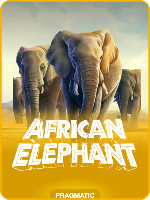 African Elephant lobby thumbnail — Pragmatic Play, rendered by thumbs.store